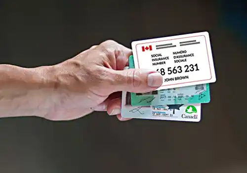 SIN   چیست و چه اهمیتی دارد