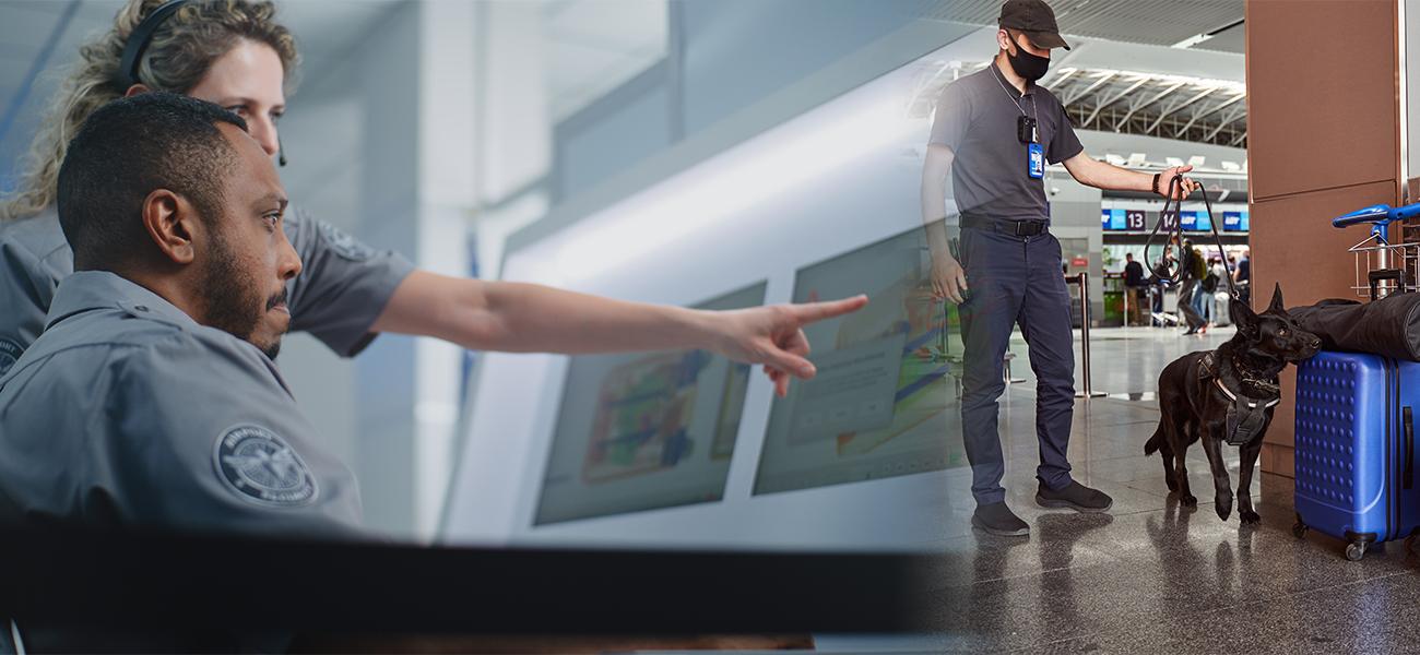 انواع غذای مجاز برای ورود به کانادا چیست؟