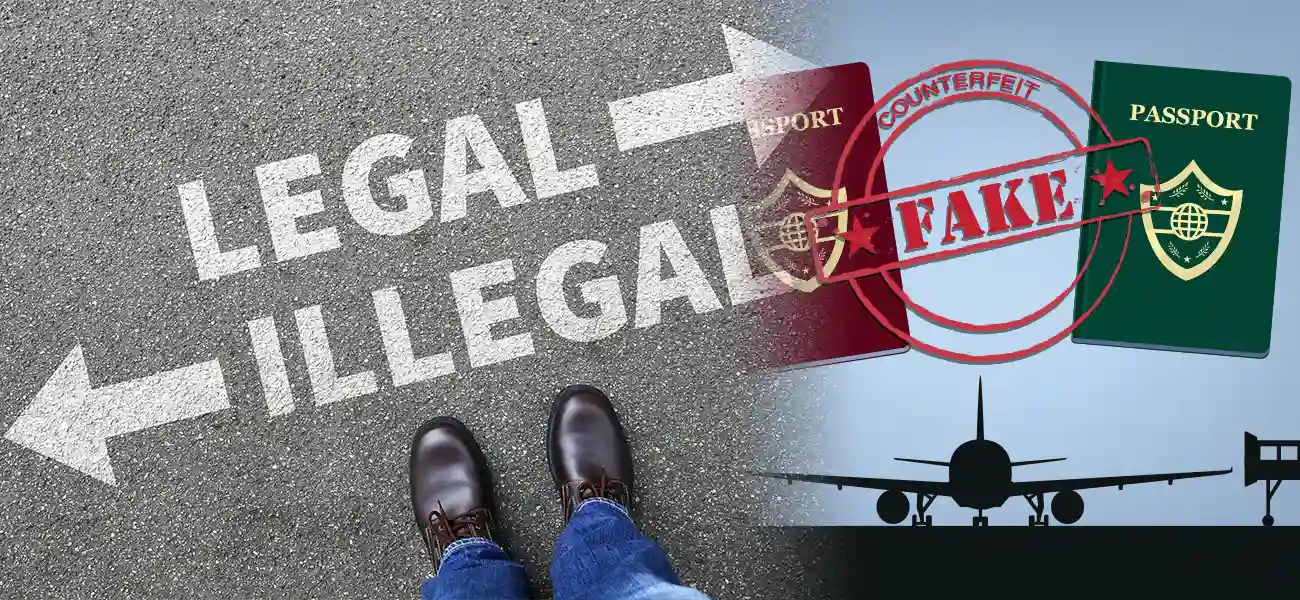 What are the most common ways immigration companies get scammed in Canada