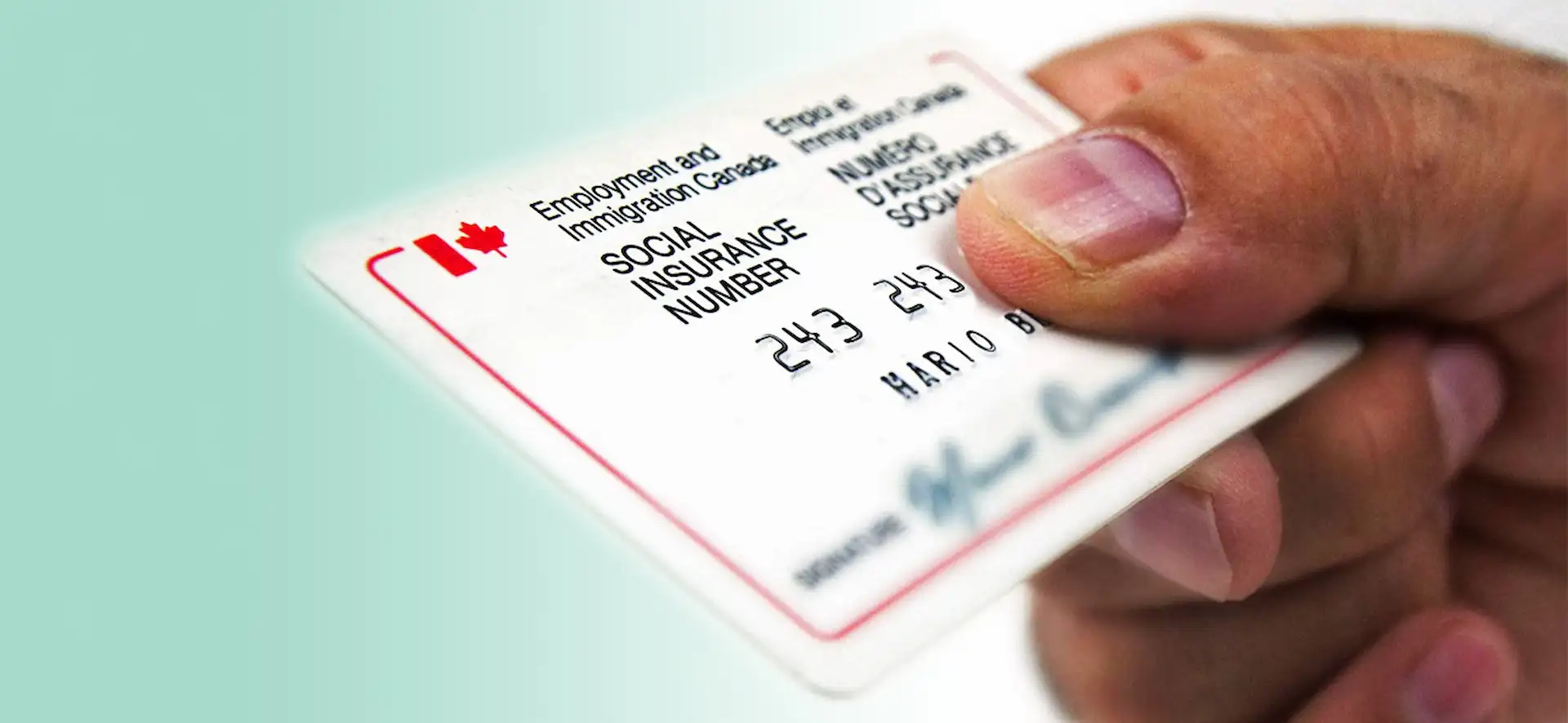 What is SIN No and what is its importance?