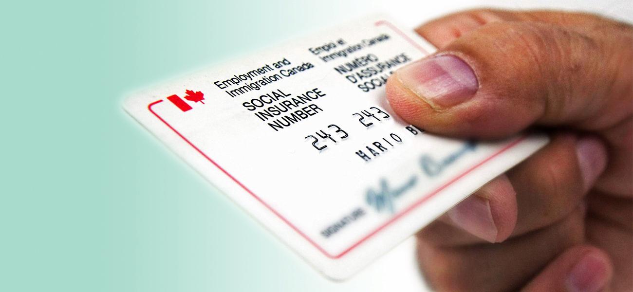 SIN   چیست و چه اهمیتی دارد