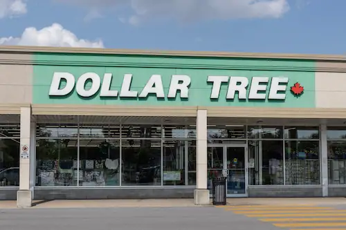A Comprehensive Guide for Newcomers About the Dollar Tree Store