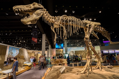 Top 10 Museums in Canada