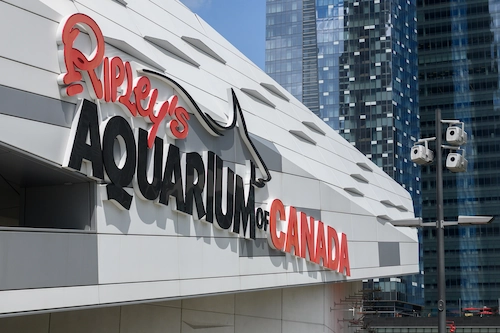 Top 10 of the best aquariums in Canada